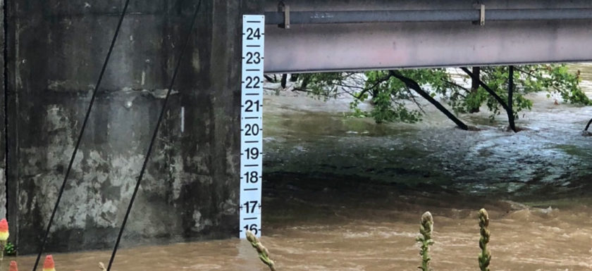 The Roanoke River at Walnut Street, May 21, 2020.